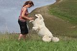 ADULTE ET CHIEN 082